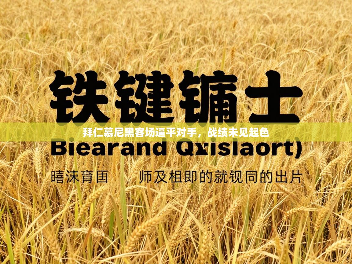 拜仁慕尼黑客场逼平对手，战绩未见起色  第2张